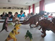 Im Rahmen des Biologieunterrichts ...