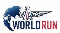 Wir nahmen heuer über eine App am World Run teil