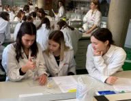 Proteinrecycling in der Zelle – Vienna Open Lab