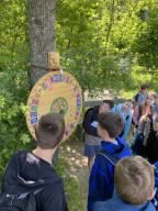 Waldjugendspiele 2025 in Hollabrunn