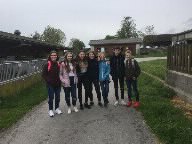 Die GWK-Exkursion der 3. Klassen zum Thema Landwirtschaft...