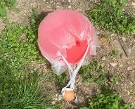 Gravity Challenge 2024