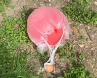 Gravity Challenge 2024